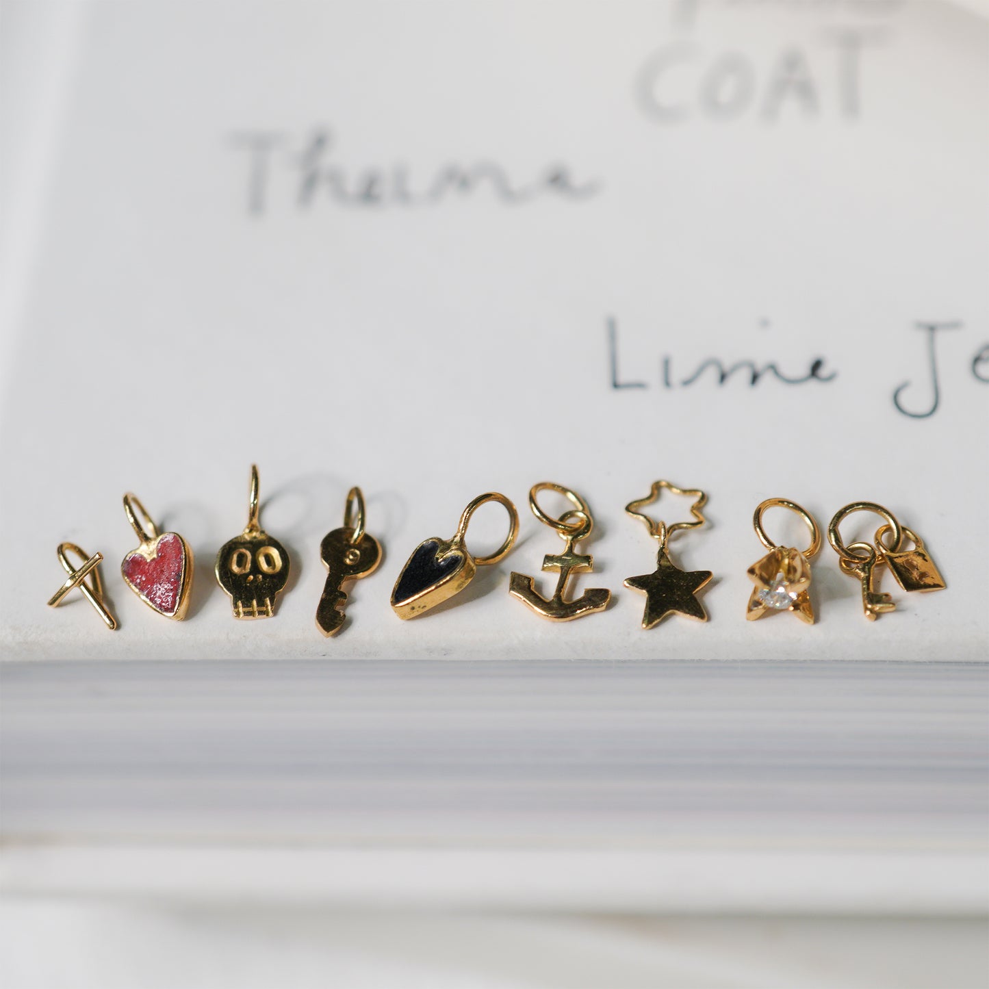 hc-d21-28 アンカーチャーム