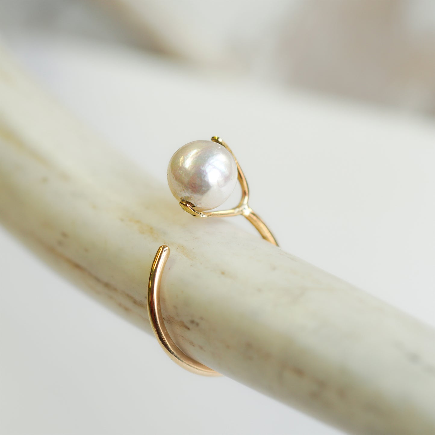 hr-21fw-576 シレーヌ