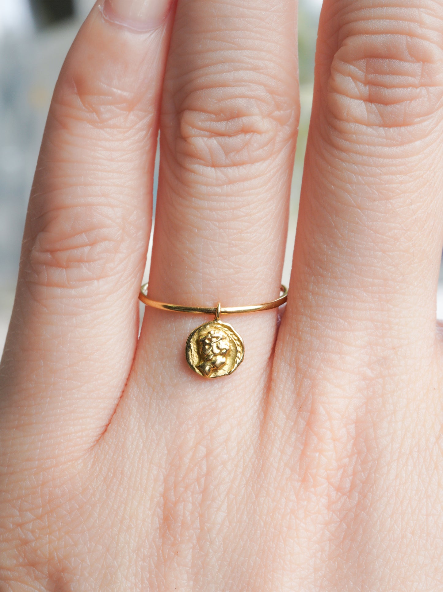 hr-18fw-529 イロンデールコイン リング 2