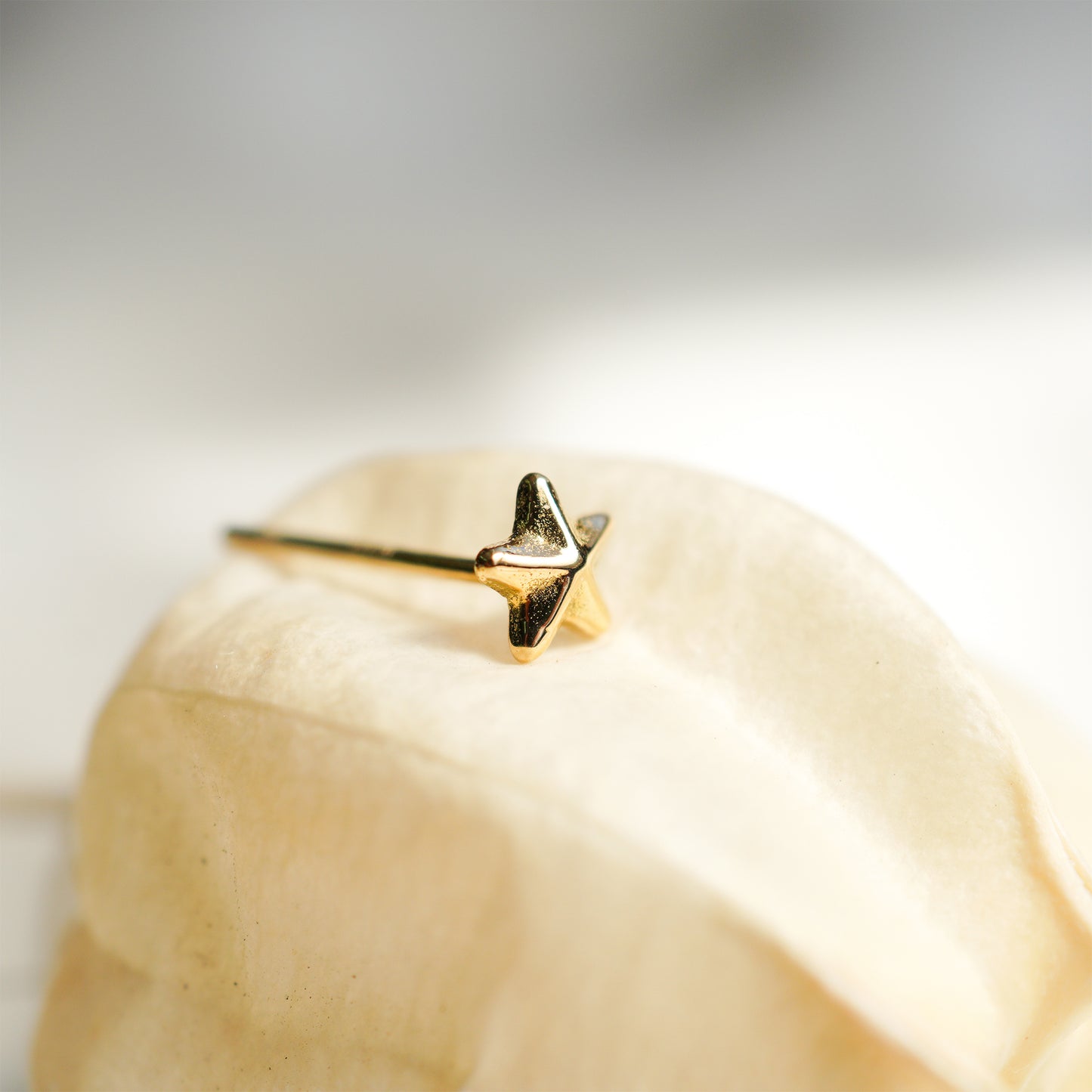 hp-23ss-672 セット・エトワール1粒