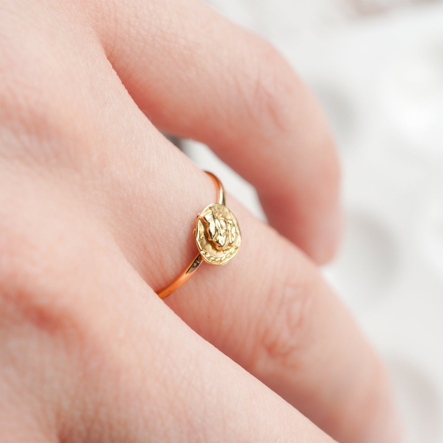 hr-18fw-528 イロンデールコイン リング 1