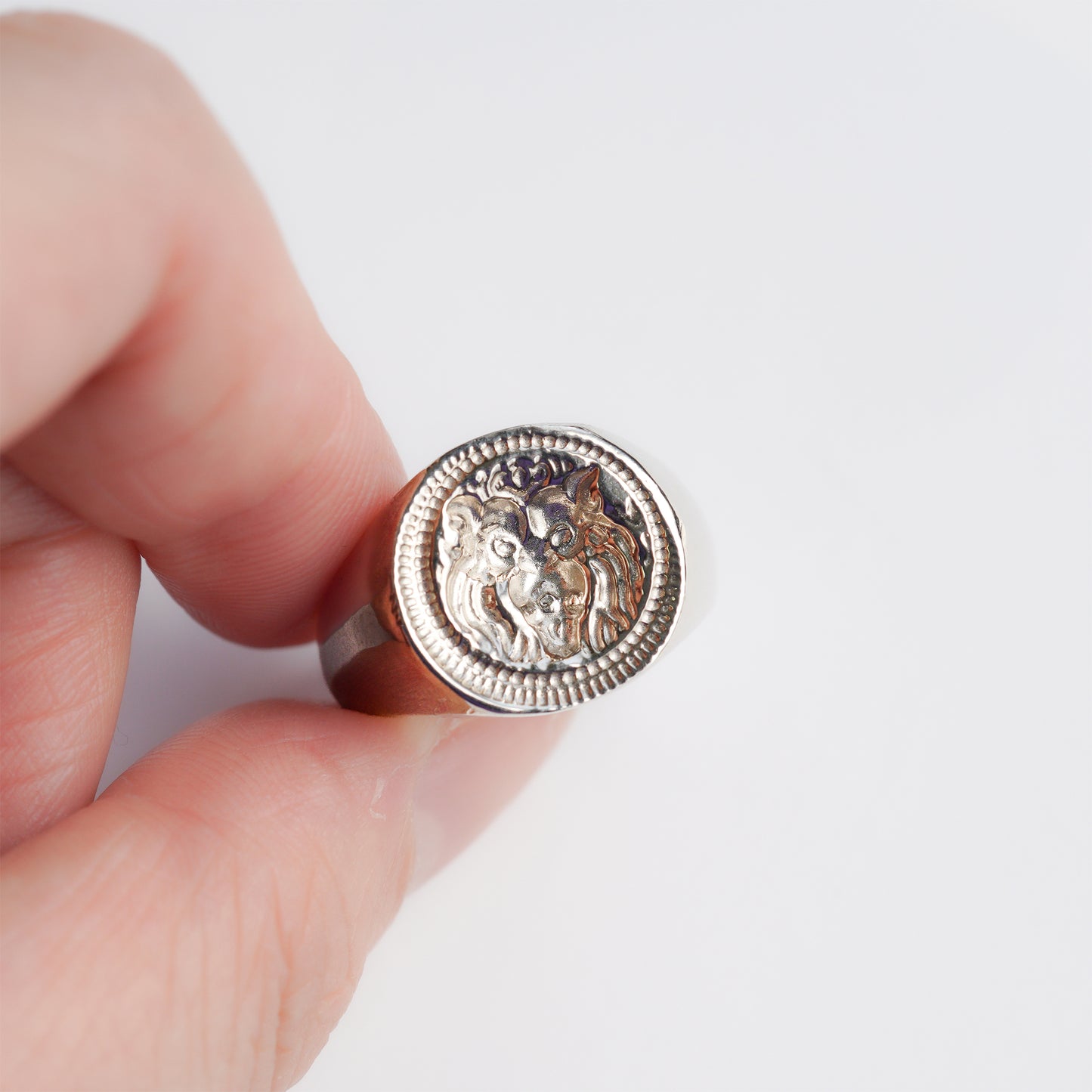 sr-19ss-37 シルバー インタリオリング-ライオン-