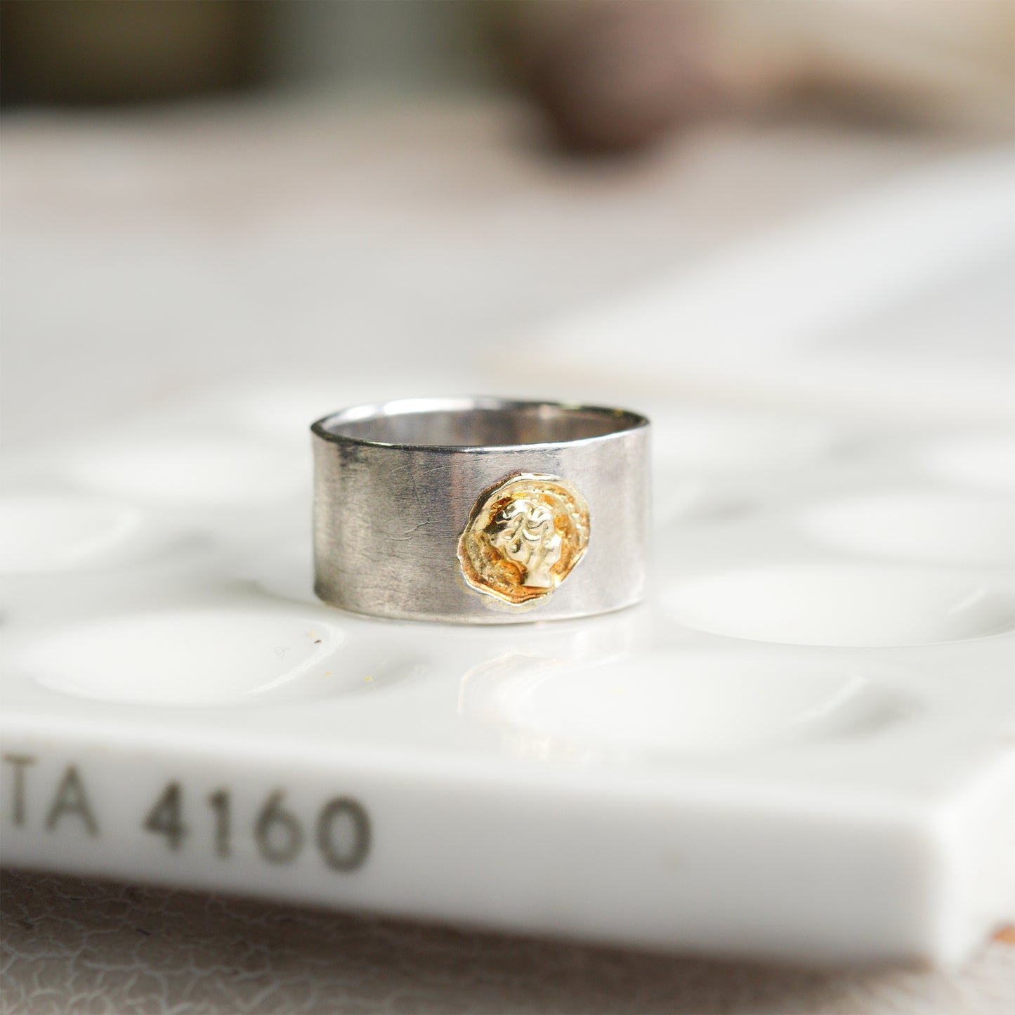 sr-18fw-26 シルバーイロンデールコイン リング