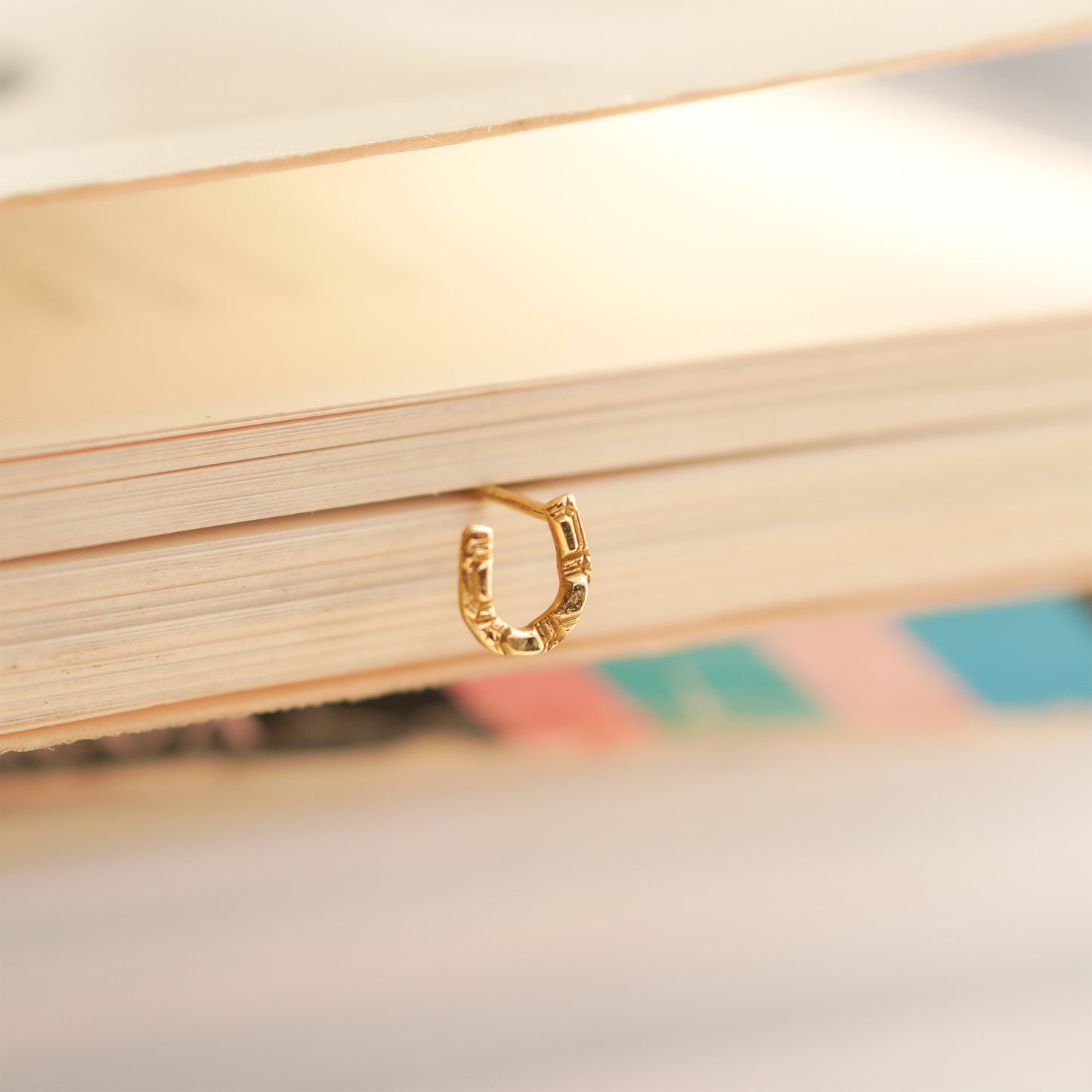 hp-19ss-609 ホースシュー ピアス