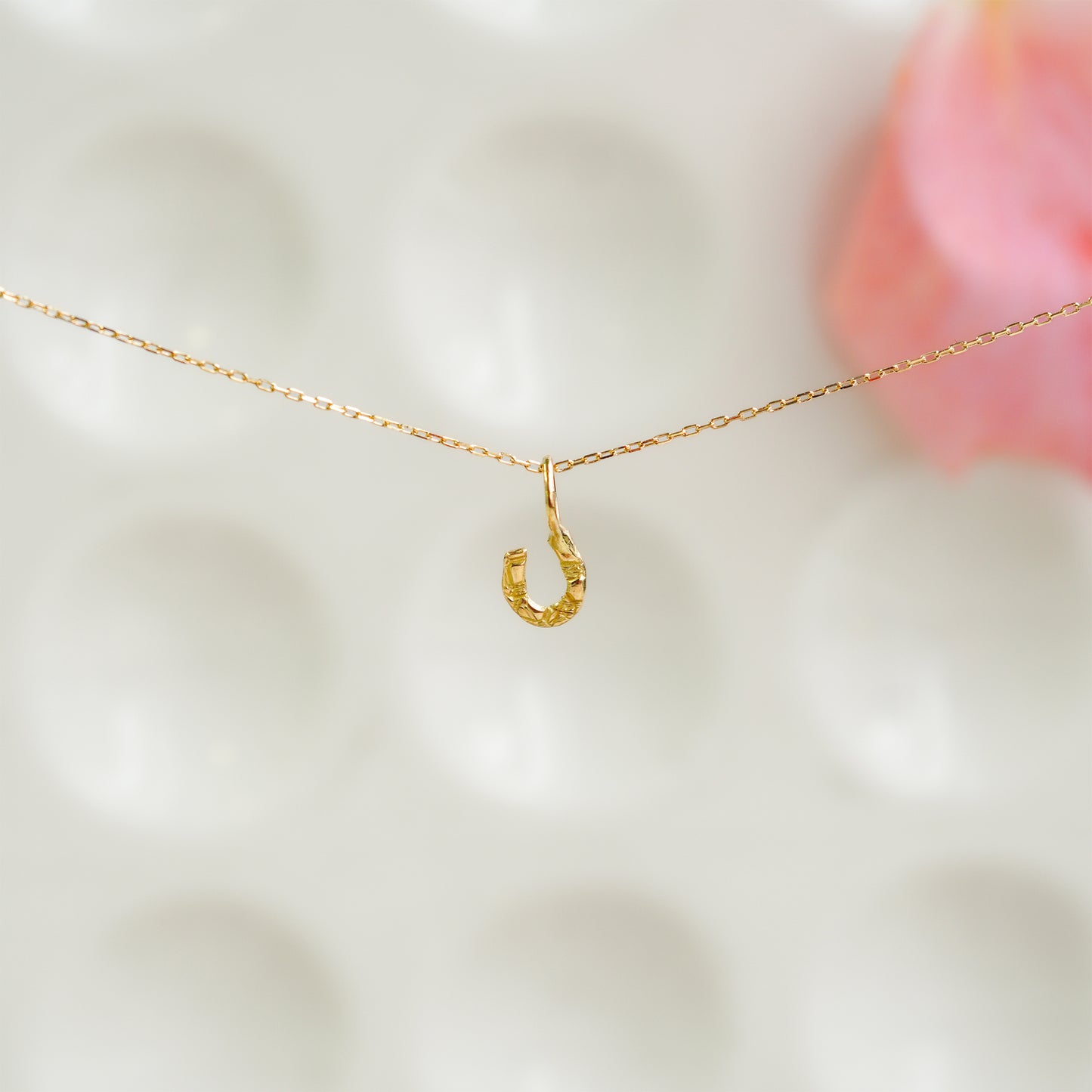 hc-d21-29 ホースシューチャーム