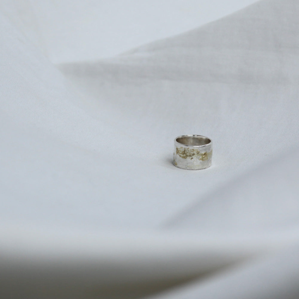 sr-13 プレートリング