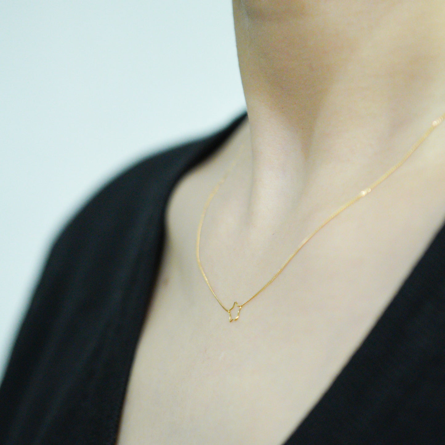 hn-9-2-236 ワイヤースターネックレス