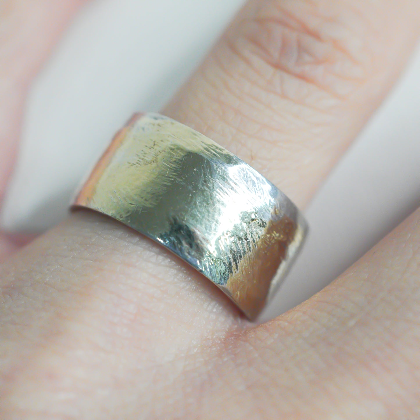 sr-11 プレートリング