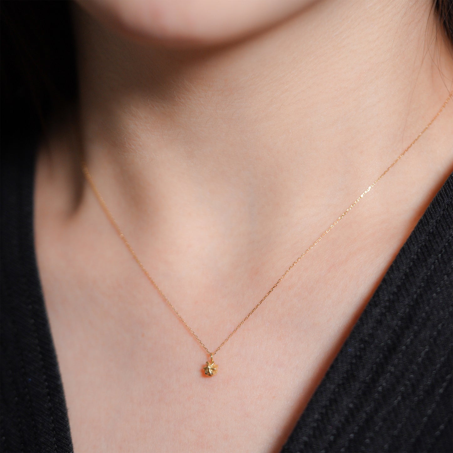 hn-21ss-546 メレンゲ