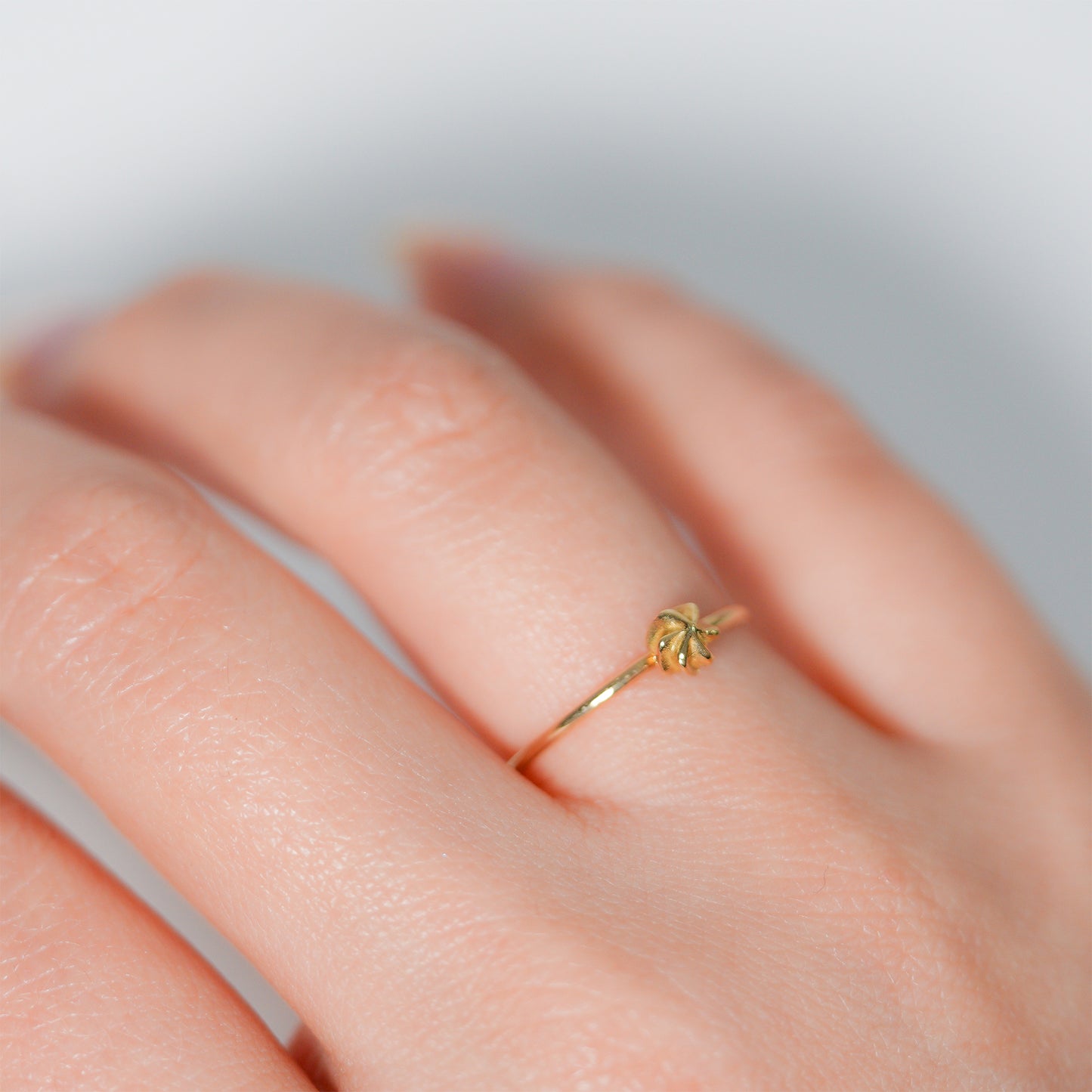 hr-21ss-573 メレンゲ