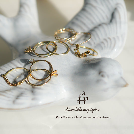 hirondelle et pepin blog start ♩