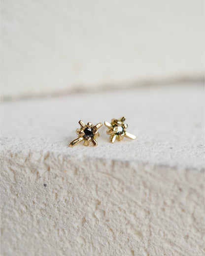 クロスブラックダイヤモンド wp-2-26