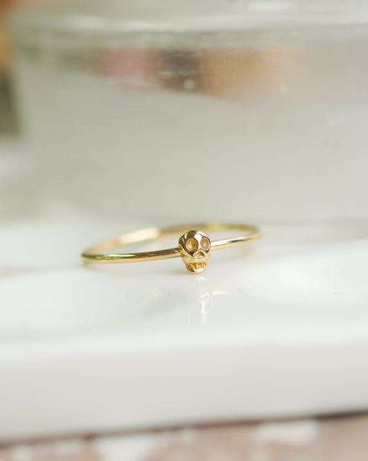 h-r-6-2-94 スカルリング