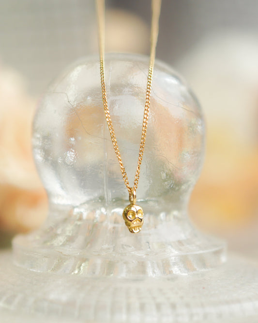 h-n-6-2-99  スカルネックレス