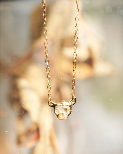 アニマルダイヤモンドネックレス bn-82