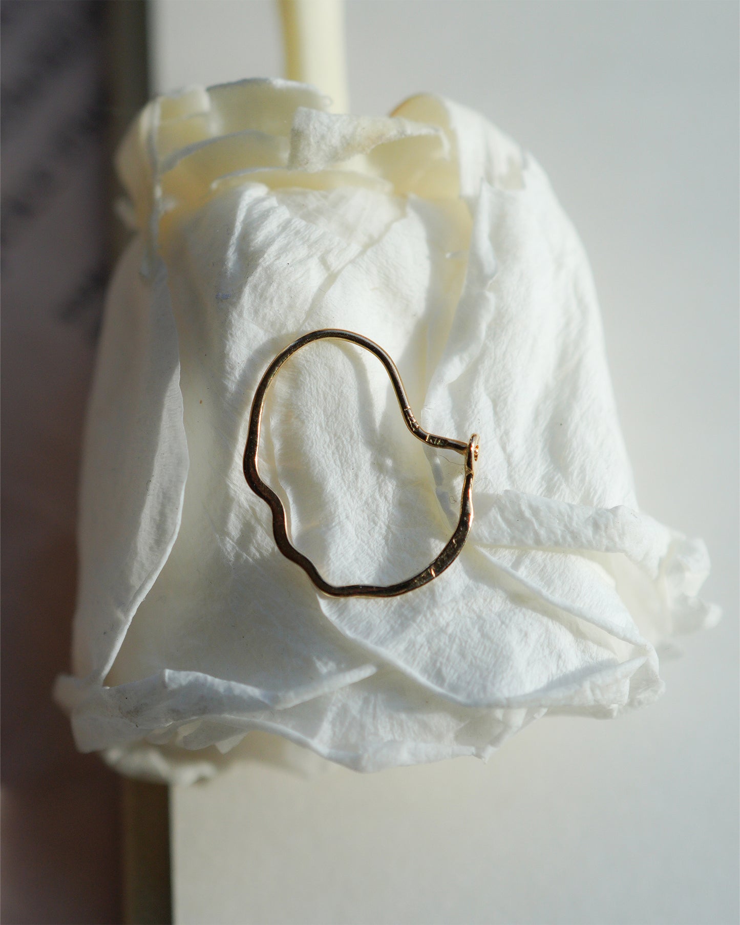 〔オンライン限定〕クラウドフープピアスM wp-5-25 (片耳)