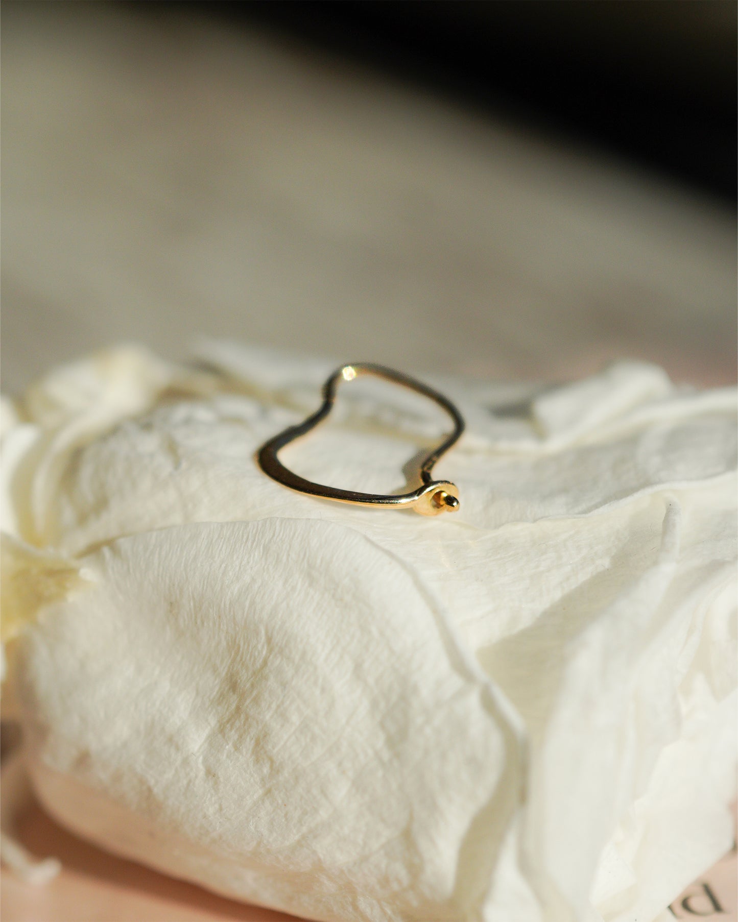 〔オンライン限定〕クラウドフープピアスS wp-10-25 (片耳)