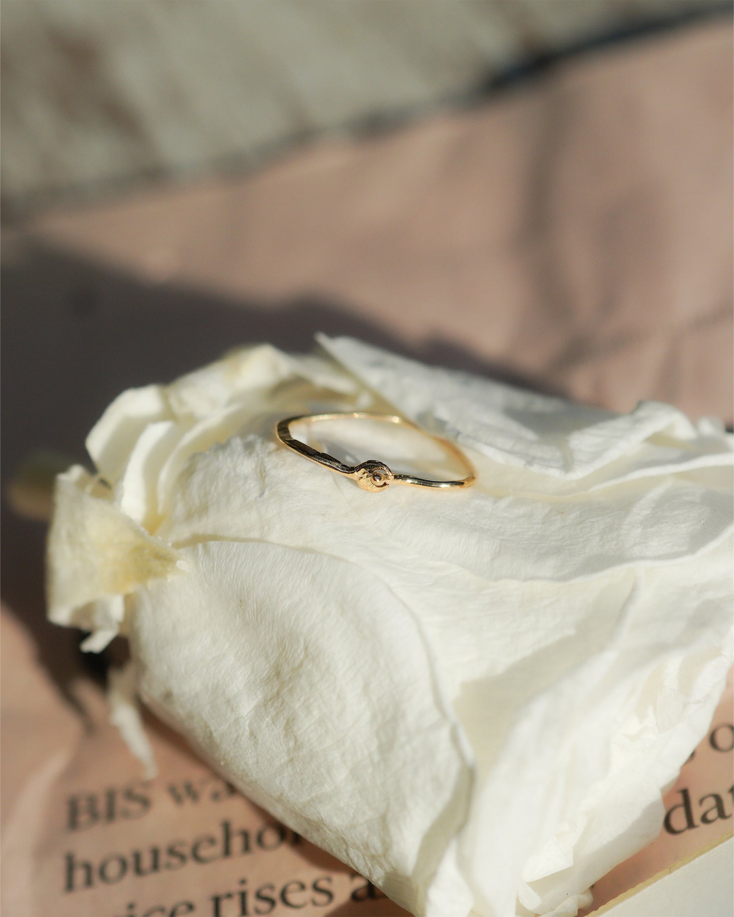 〔オンライン限定〕クラウドフープピアスS wp-12-25  (片耳)