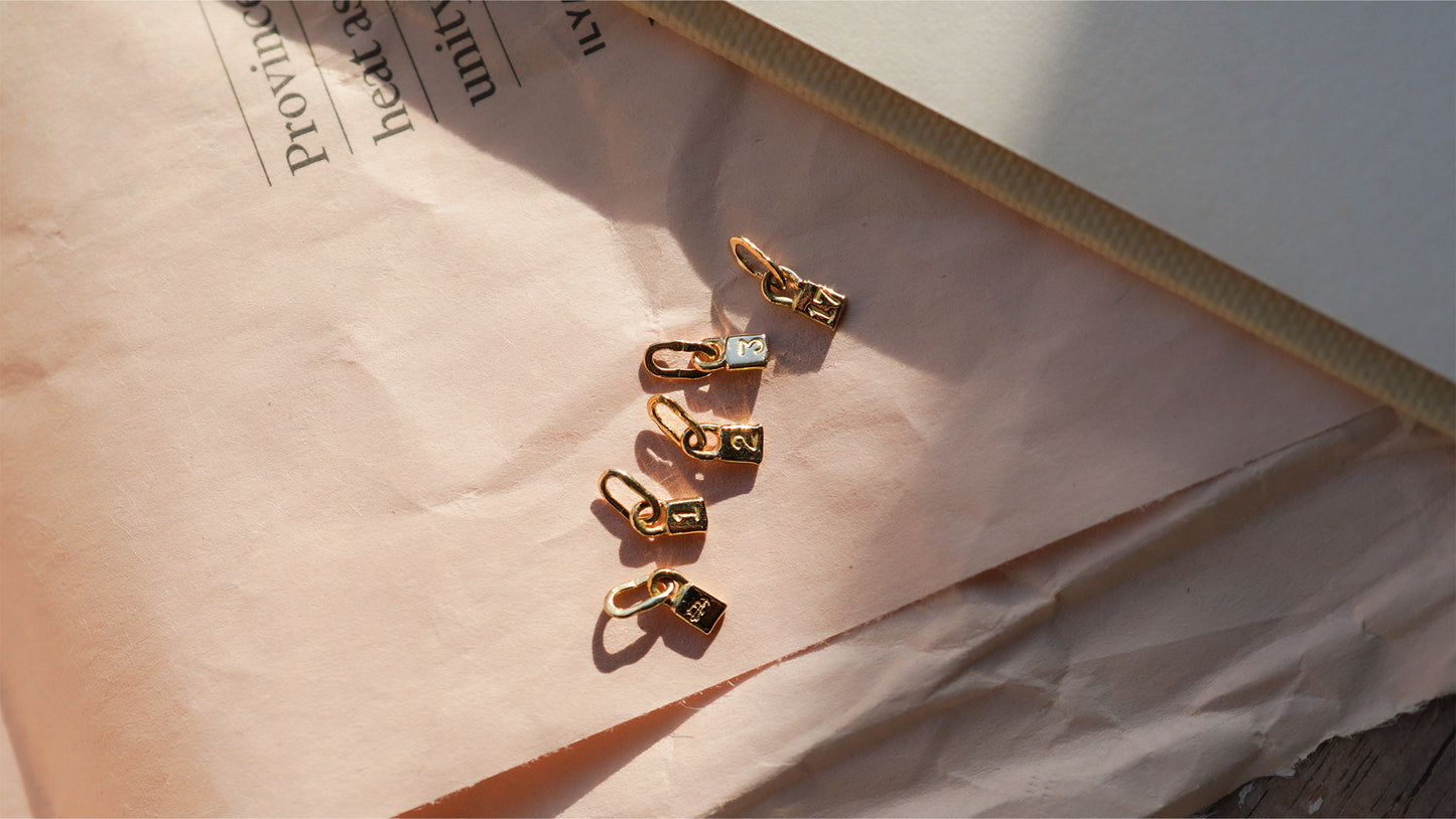 〔オンライン限定〕パドロックチャーム2 wc-4-25