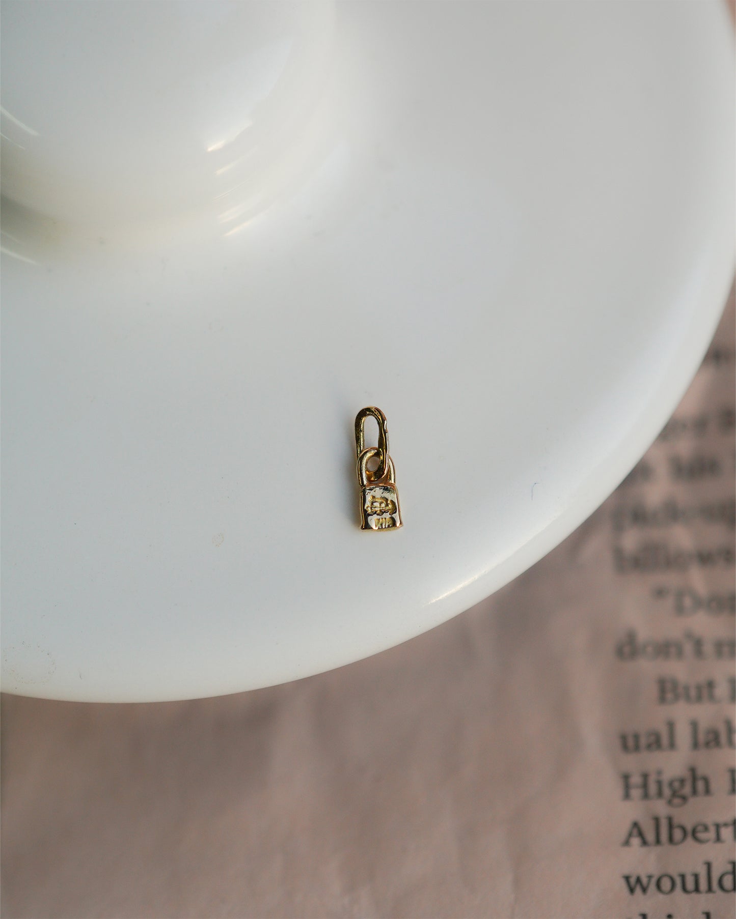 〔オンライン限定〕パドロックチャーム2 wc-4-25