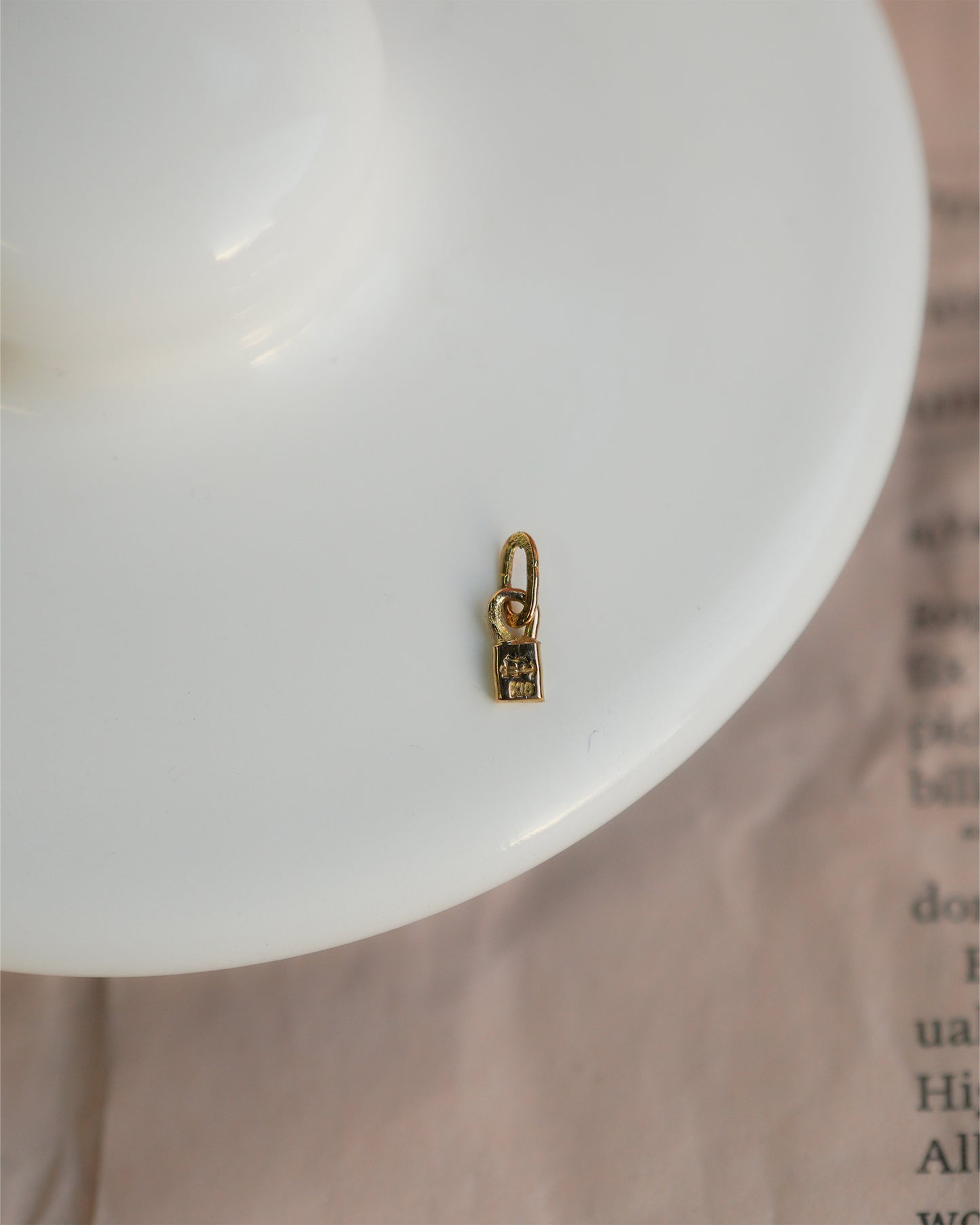 〔オンライン限定〕パドロックチャーム17 wc-6-25