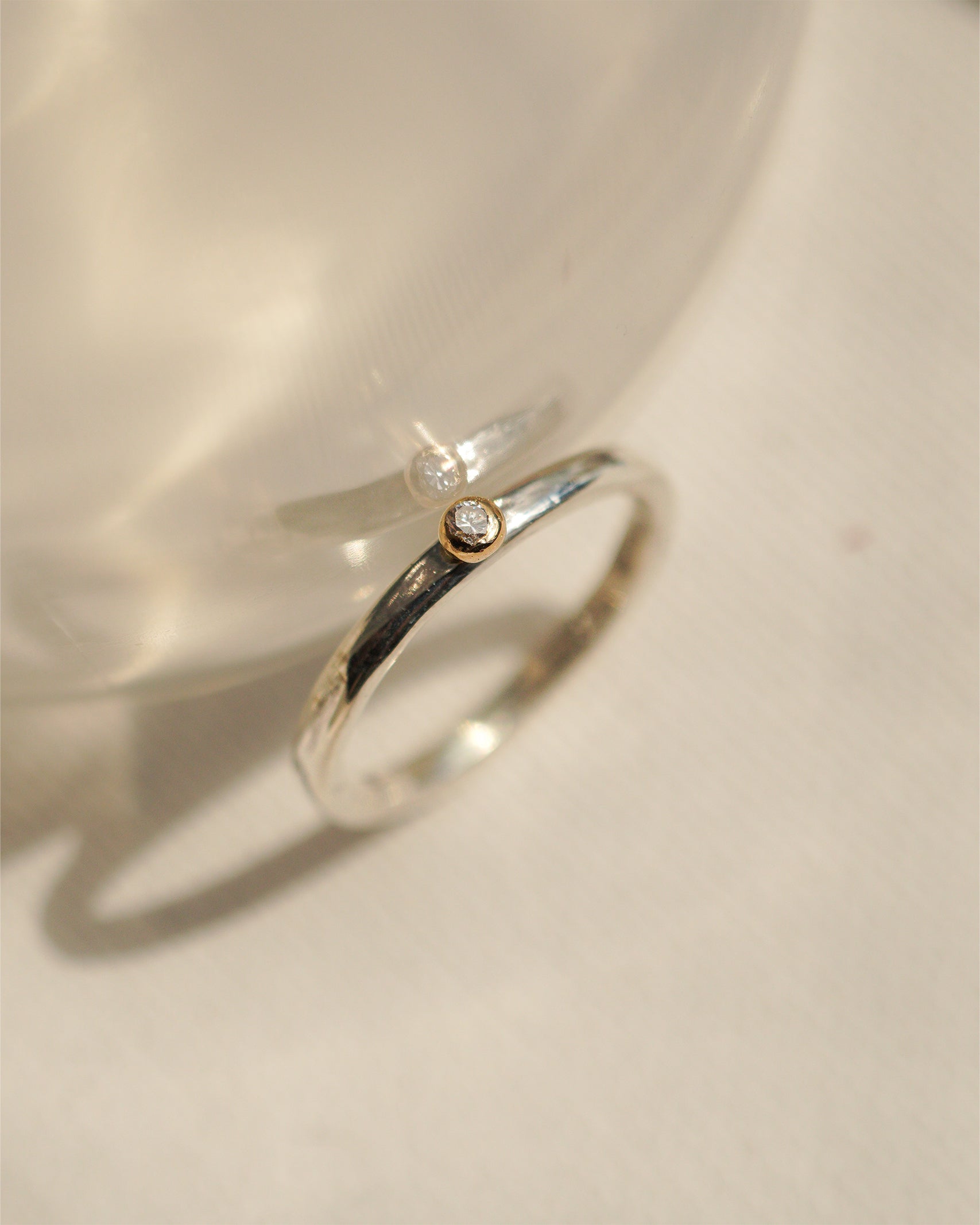 Silver – hirondelle et pépin(イロンデール エ ペパン)