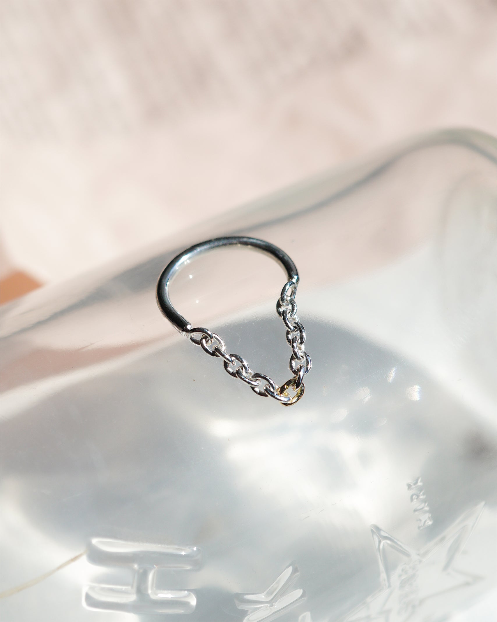 Silver – hirondelle et pépin(イロンデール エ ペパン)