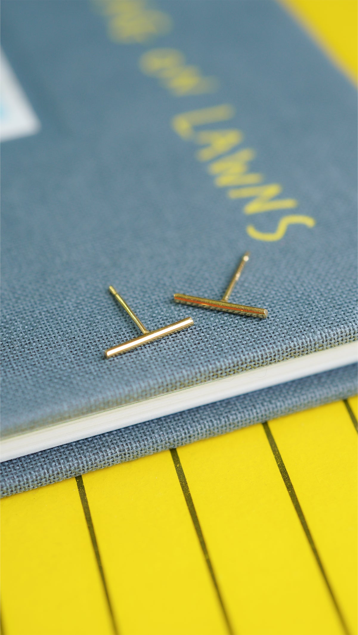 ラインL ピアス hp-474