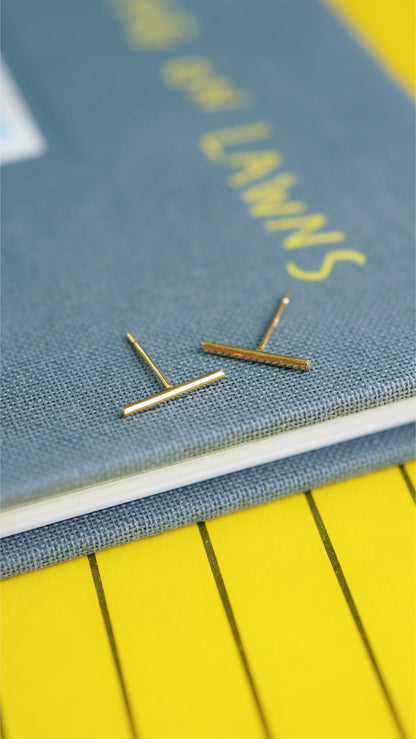 ラインL ピアス hp-474