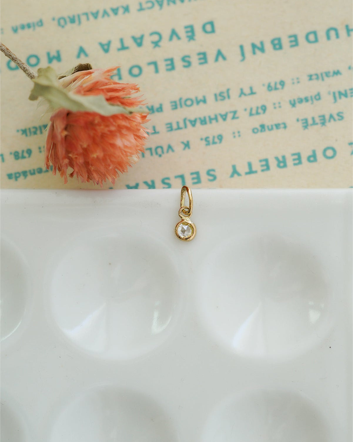 Express Shipping – hirondelle et pépin(イロンデール エ ペパン)